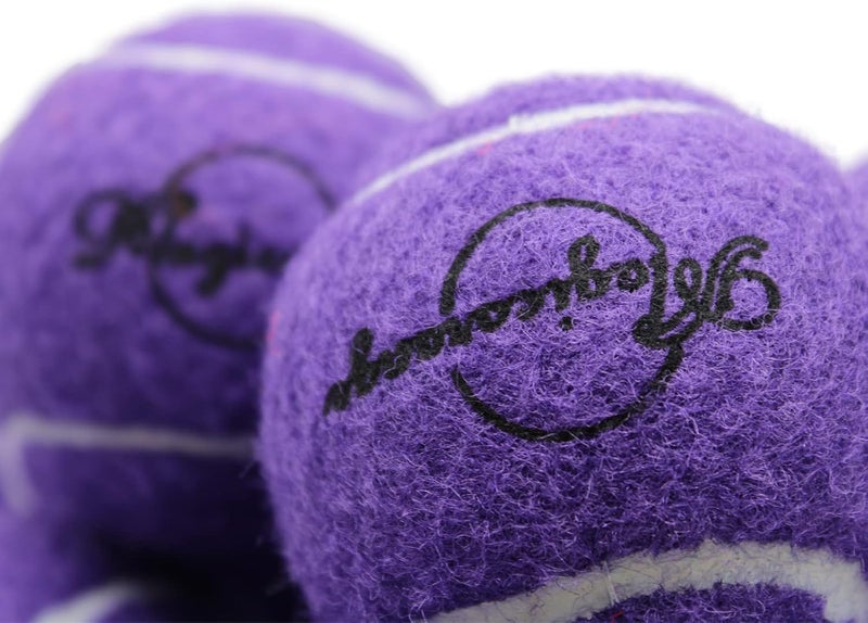 Magicorange Tennis Balls, 60 Pack Advanced Training Tennis Balls Practice Ball, Pet Dog Playing Balls,Good for Beginner Training Ball - Image 4